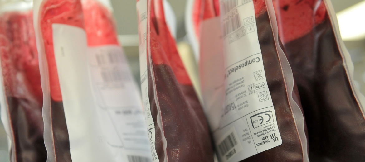 96 Bolsas de sangue coletadas